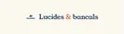 Lucides et bancals